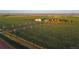 Expansive land featuring custom home and buildings with mountain views and mature trees at 4075 Merada Ct, Franktown, CO 80116