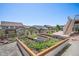 Garden with raised beds, fenced yard, patio and deck offering a beautiful outdoor retreat at 5929 Echo Hollow St, Castle Rock, CO 80104