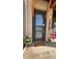 Inviting front door with decorative wreath, floral planters and stylish welcome mat at 10150 Belvedere Loop, Lone Tree, CO 80124