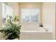 Bright bathroom with a soaking tub, garden plants, and window with blinds at 12451 Turquoise Terrace Pl, Castle Pines, CO 80108