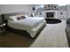 Spacious basement bedroom features a fireplace, carpeting, and natural light from the above-ground windows at 1315 Grape St, Denver, CO 80220