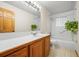 Bright bathroom featuring wood cabinets, a sink, shower, and decorative plants at 29825 Kennedy Gulch Rd, Conifer, CO 80433
