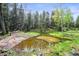 A tranquil pond is framed by verdant trees and foliage at 29825 Kennedy Gulch Rd, Conifer, CO 80433