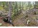 Tranquil stream meandering through a wooded area at 29825 Kennedy Gulch Rd, Conifer, CO 80433