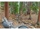 Serene backyard seating area next to a stream, surrounded by lush trees at 34788 Forest Estates Rd, Evergreen, CO 80439