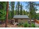Exterior view of cabin-style home nestled amongst tall trees, with a deck and a small entry bridge at 34788 Forest Estates Rd, Evergreen, CO 80439