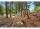 Secluded home featuring a stream and a cozy outdoor seating area in a wooded setting at 34788 Forest Estates Rd, Evergreen, CO 80439