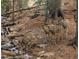 A group of deer stand near a rocky stream, drinking, in a natural woodland setting at 34788 Forest Estates Rd, Evergreen, CO 80439