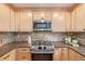 Modern kitchen featuring stainless steel appliances, stone countertops, and wood cabinets at 116 S Lindsey St, Castle Rock, CO 80104