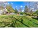 Expansive backyard with lush green lawn, mature trees, and landscaping providing privacy at 6918 E Easter Pl, Centennial, CO 80112