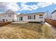 Backyard features stamped concrete patio and landscaped yard with privacy fence at 2085 Cactus Bloom Ct, Castle Rock, CO 80109