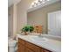 Bright bathroom features a wood vanity, a large mirror and plant decor at 1343 Villa Grv, Monument, CO 80132