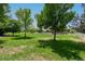 Expansive, well-maintained backyard with lush green grass and mature trees, surrounded by white fencing at 7126 E 162Nd Ct, Brighton, CO 80602