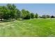 Lush backyard featuring mature trees, green lawn, and white fencing defining the property line at 7126 E 162Nd Ct, Brighton, CO 80602