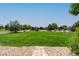 Expansive backyard featuring lush green lawn and a white perimeter fence, perfect for outdoor enjoyment at 7126 E 162Nd Ct, Brighton, CO 80602
