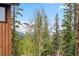Picturesque mountain view from this home with towering trees and blue skies in the background at 1152 Ski Hill Rd, Breckenridge, CO 80424