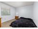 Bedroom featuring neutral walls, carpet flooring and a large window for natural light at 1584 S Fraser Way, Aurora, CO 80012