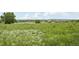 Picturesque grassy field with wildflowers, offering a serene and natural setting at 10129 W 55Th Dr # 3, Arvada, CO 80002