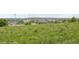 Picturesque grassy field with wildflowers, offering a serene and natural setting with a view of the neighborhood at 10129 W 55Th Dr # 3, Arvada, CO 80002