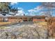 Spacious backyard featuring a covered patio, large lawn, and mature trees at 2694 S Krameria St, Denver, CO 80222