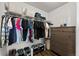 Organized walk-in closet with shelving, hanging rods, and a dresser for maximum storage at 1031 White Leaf Cir, Castle Rock, CO 80108