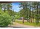 Scenic view of the property's surroundings with mature trees and a dirt road, creating a natural, secluded feel at 29832 Dorothy Rd, Evergreen, CO 80439