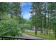Scenic view of the property's surroundings with mature trees and a dirt road, creating a natural, secluded feel at 29832 Dorothy Rd, Evergreen, CO 80439