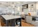 Gourmet kitchen featuring an island, stainless steel appliances, and modern finishes at 1265 Saint Paul St, Denver, CO 80206