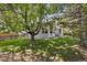 Backyard view with a large tree providing shade to a home's windows and a well-kept lawn at 329 Bobcat Pt, Lafayette, CO 80026