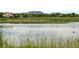 Scenic pond view with natural grasses in foreground and mountains in the background near the house at 2169 Eagle Ave # 2169, Superior, CO 80027