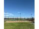Community pickleball courts and green space with mountain views in the distance at 6899 Petunia Pl, Castle Rock, CO 80108