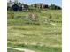 Community playground with open green space and neighborhood views in the distance at 6899 Petunia Pl, Castle Rock, CO 80108