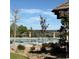 Community pool with landscaping, wrought iron fencing, and views at 6899 Petunia Pl, Castle Rock, CO 80108