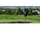 Picturesque golf course featuring a lush green putting green, scenic trees, and the country club flag at 7010 Homeplace Pt, Castle Rock, CO 80108