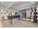Well-equipped gym featuring various weight machines, free weights, and mirrored walls for a complete workout experience at 7010 Homeplace Pt, Castle Rock, CO 80108