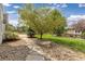 A well-maintained backyard features a stone walkway, lush lawn, mature trees, and decorative landscaping at 1199 Links Ct, Erie, CO 80516