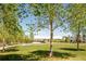 Beautiful green space with trees, grass, and neighborhood views in the background at 5025 Central Park Blvd, Denver, CO 80238