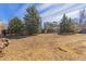 Fenced backyard with lush trees and space for outdoor activities at 616 N Brentwood Ct, Castle Rock, CO 80104