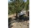A white propane tank sits among pine trees in a wooded area at 33606 Gap Rd, Golden, CO 80403