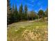Lush trees and grassy space on a sunny day with a mountain in the distance at 33606 Gap Rd, Golden, CO 80403