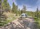 Picturesque scene with a vintage Airstream trailer parked in a tree-lined setting at 32663 Donna Dr, Conifer, CO 80433