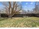 Large backyard featuring a mature tree, wooden fence, and well-maintained lawn, providing a serene outdoor space at 794 S Ivy St, Denver, CO 80224