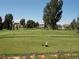 Scenic view of the community golf course featuring mature trees and lush green fairways at 725 S Clinton St # 1B, Denver, CO 80247
