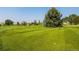 Picturesque view of the community golf course with lush green lawns and mature trees on a sunny day at 725 S Clinton St # 1B, Denver, CO 80247