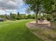 Spacious backyard featuring a well-manicured lawn, mature trees, and patio area, creating a perfect outdoor oasis at 1021 Neptunite Pl, Castle Rock, CO 80108