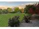 Expansive backyard featuring lush greenery, mature trees, and a tranquil setting, ideal for relaxation and outdoor activities at 1021 Neptunite Pl, Castle Rock, CO 80108