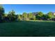 Large backyard with green lawn and mature trees at 1021 Neptunite Pl, Castle Rock, CO 80108