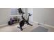 Workout space features a stationary bike, exercise equipment, and a bright window at 9810 Townsville Cir, Highlands Ranch, CO 80130
