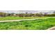 View of the lush greenbelt and walking path, with homes visible in the distance at 23070 York Ave, Parker, CO 80138