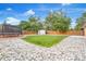 Large backyard with a trampoline, shed, and fencing, ideal for Gathering fun and privacy at 14595 Robins Dr, Denver, CO 80239
